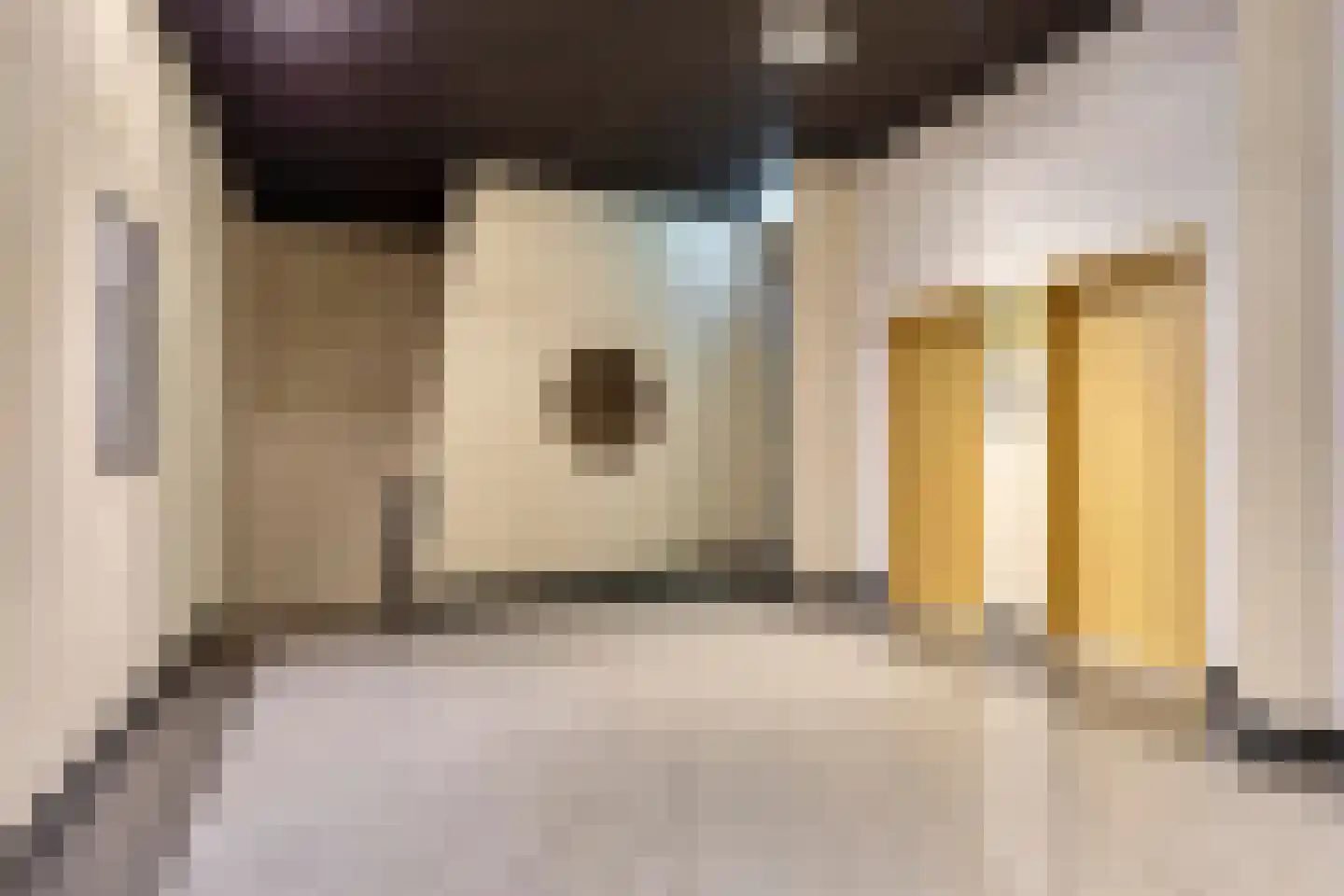 Hertog Hendrik van Brabantplein 94 Eindhoven thumbnail 4