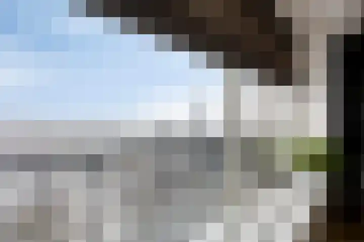 Hertog Hendrik van Brabantplein 97 Eindhoven thumbnail 12