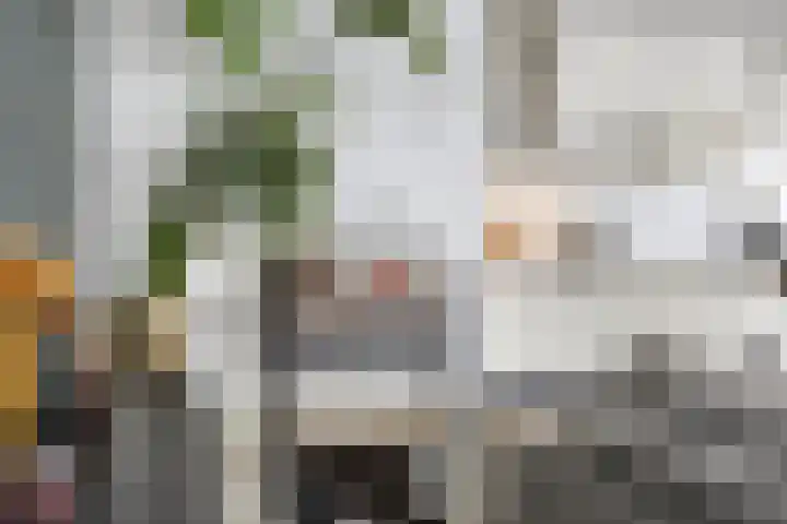 Hertog Hendrik van Brabantplein 97 Eindhoven thumbnail 14