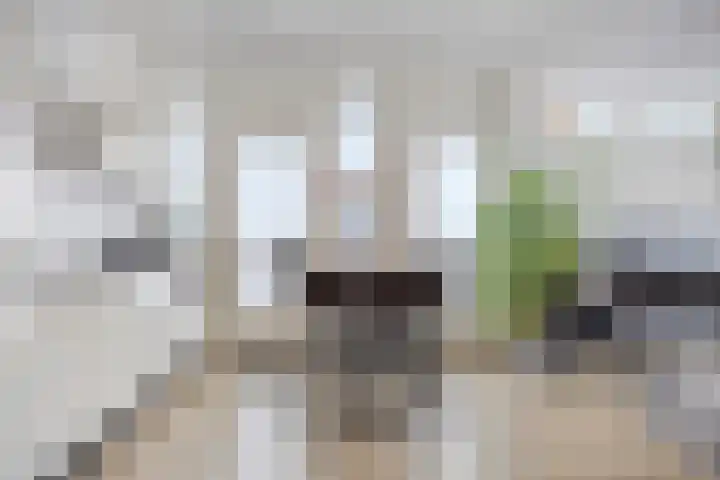 Hertog Hendrik van Brabantplein 97 Eindhoven thumbnail 16