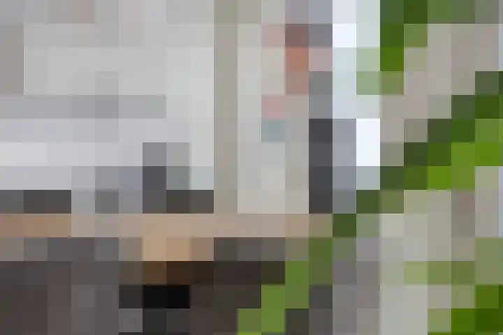 Hertog Hendrik van Brabantplein 97 Eindhoven thumbnail 19
