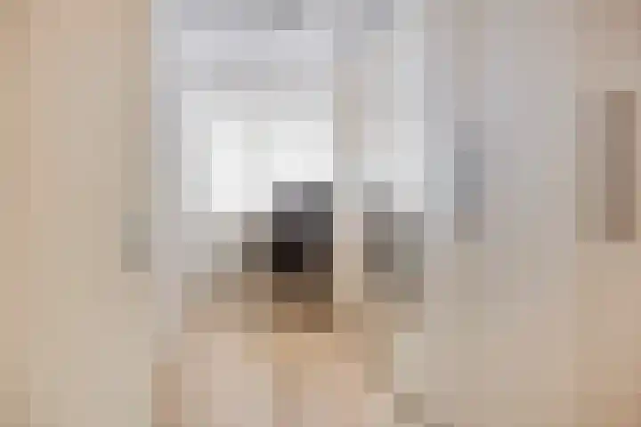 Hertog Hendrik van Brabantplein 97 Eindhoven thumbnail 22