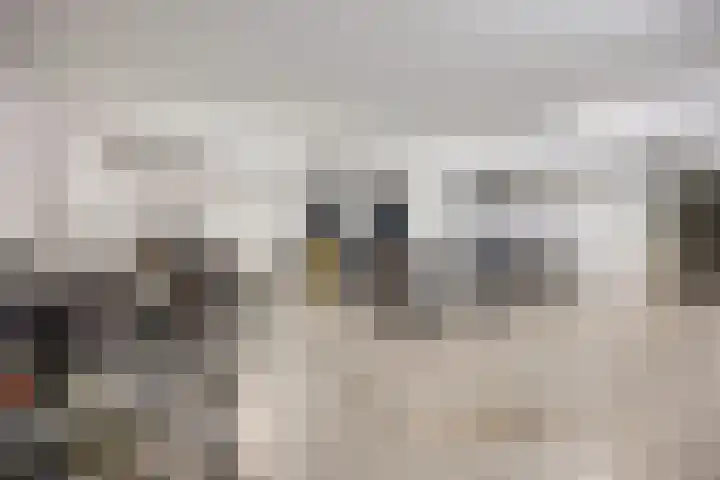 Hertog Hendrik van Brabantplein 97 Eindhoven thumbnail 25
