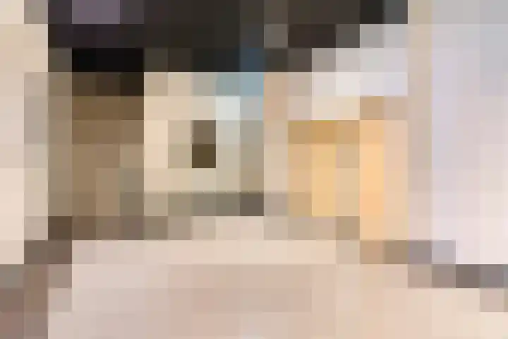 Hertog Hendrik van Brabantplein 97 Eindhoven thumbnail 6
