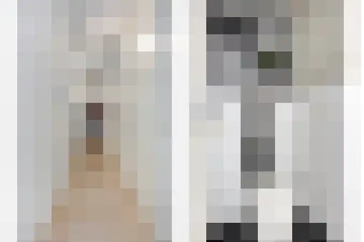 Hertog Hendrik van Brabantplein 97 Eindhoven thumbnail 8