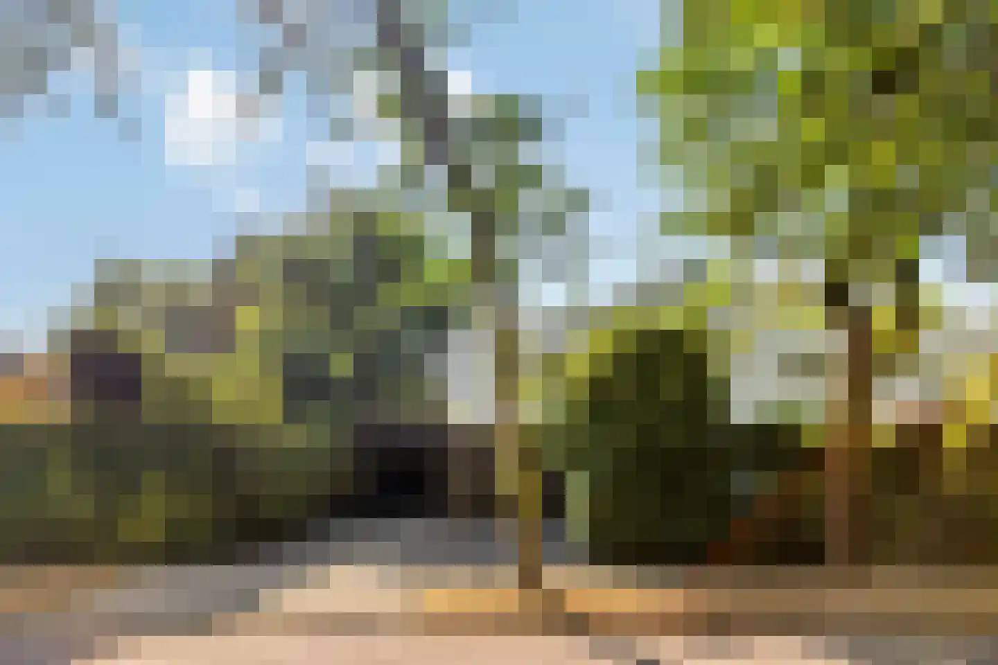 Hertog Hendriklaan 28 Oisterwijk thumbnail 45