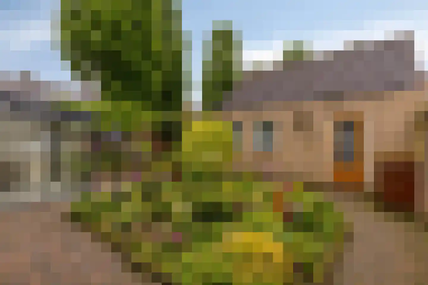 Hertog Hendriklaan 7 Lieshout thumbnail 38