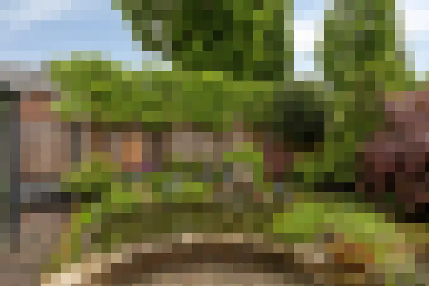 Hertog Hendriklaan 7 Lieshout thumbnail 41