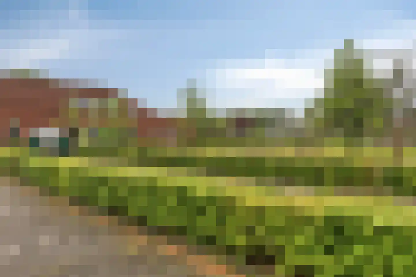 Hertog Hendriklaan 7 Lieshout thumbnail 51