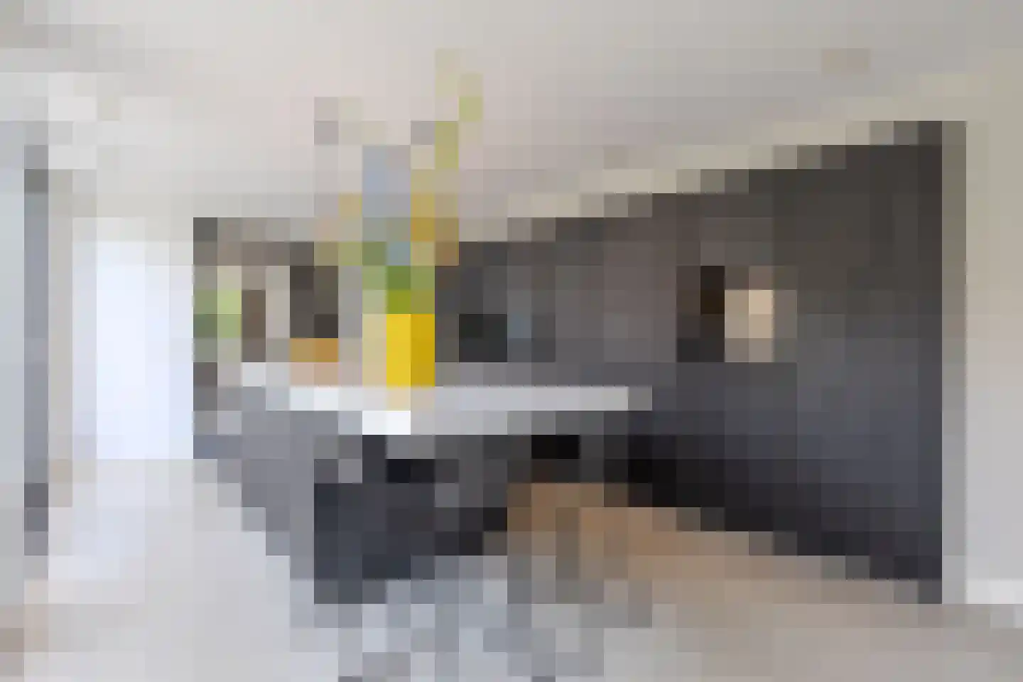 Hertog Hendriklaan 9 Oisterwijk thumbnail 11