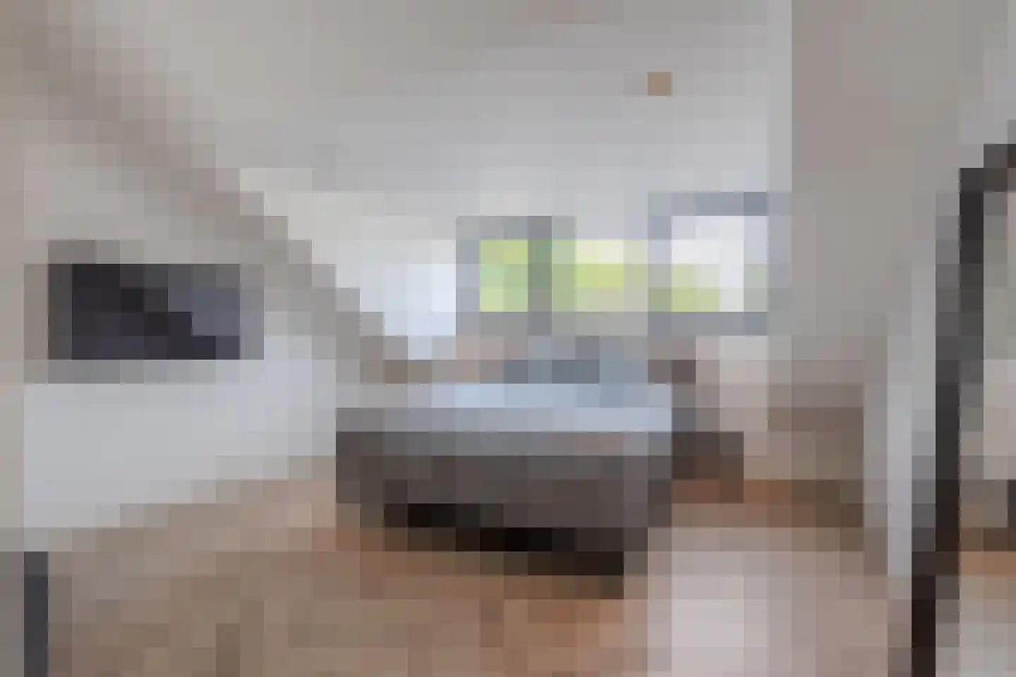 Hertog Hendriklaan 9 Oisterwijk thumbnail 21