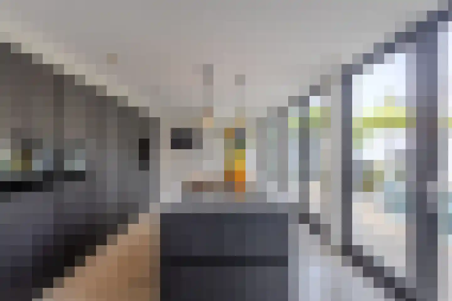 Hertog Hendriklaan 9 Oisterwijk thumbnail 4