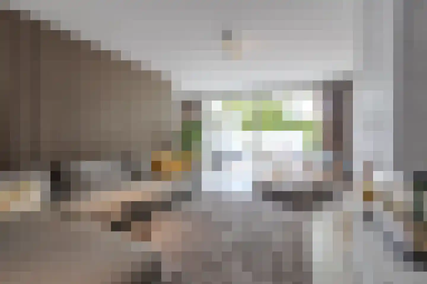 Hertog Hendriklaan 9 Oisterwijk thumbnail 7