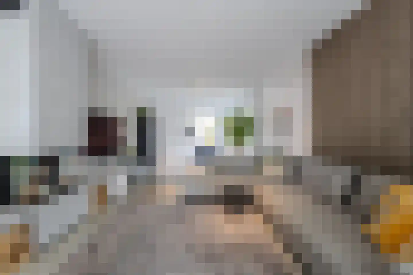 Hertog Hendriklaan 9 Oisterwijk thumbnail 9