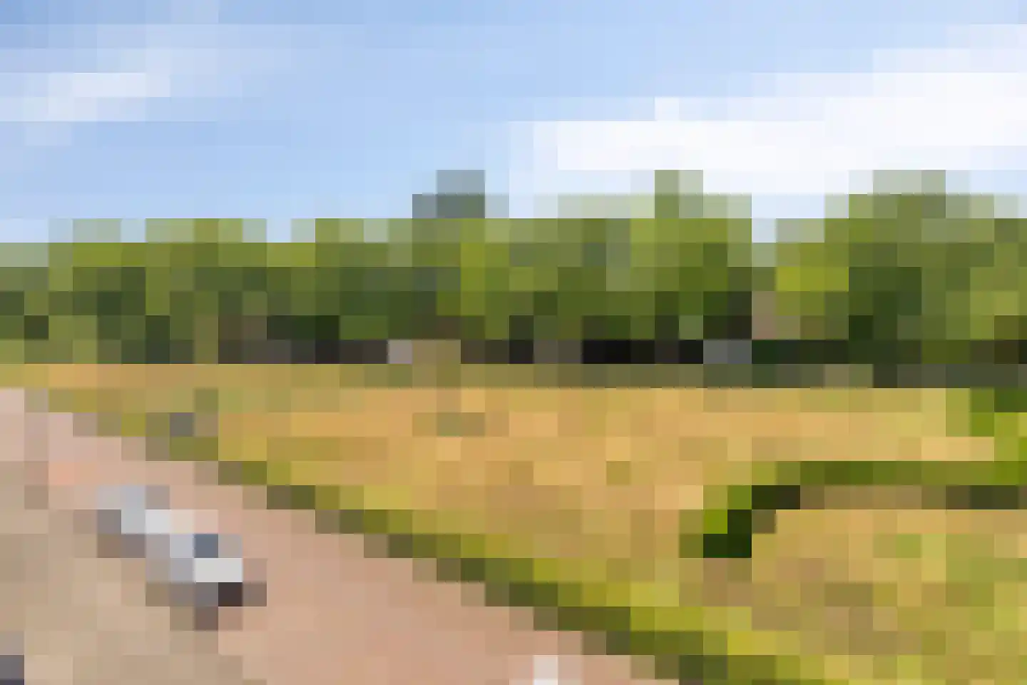 Hertog Hendriksingel 12 's-Hertogenbosch thumbnail 4
