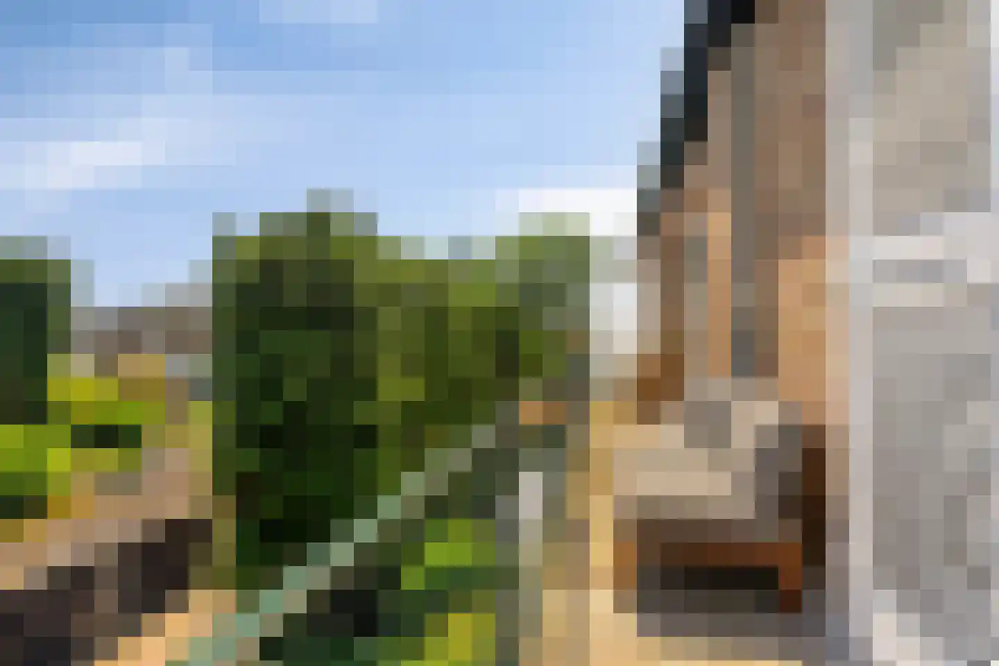 Hertog Hendriksingel 12 's-Hertogenbosch thumbnail 8