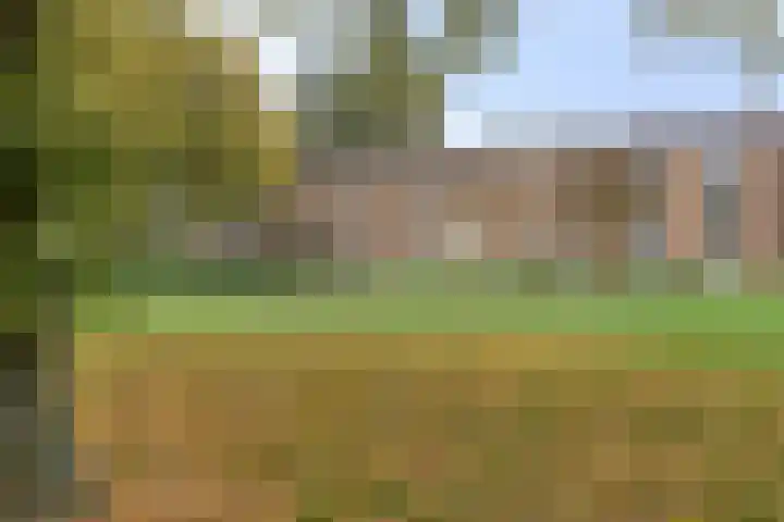 Hertog Hendriksingel 16 's-Hertogenbosch thumbnail 16