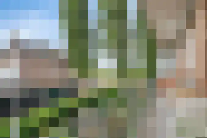 Hertog Hendriksingel 64 's-Hertogenbosch thumbnail 10