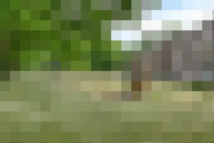 Hertog Hendriksingel 64 's-Hertogenbosch thumbnail 19