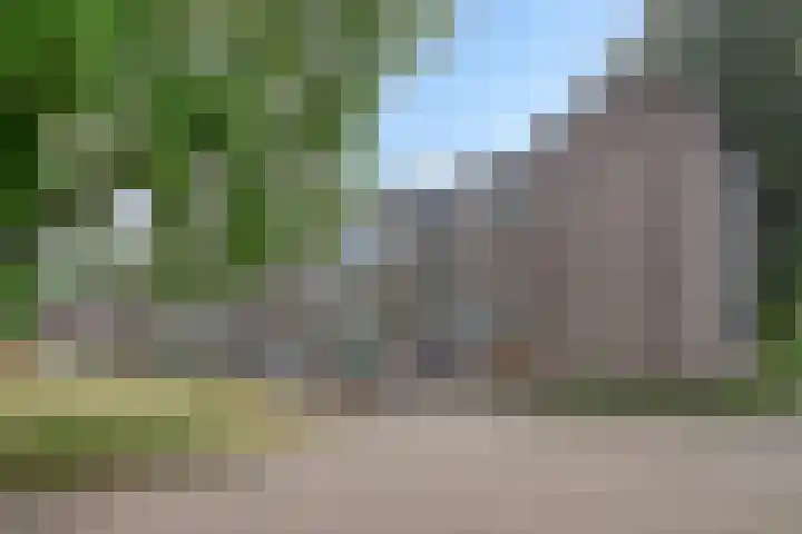 Hertog Hendriksingel 64 's-Hertogenbosch thumbnail 20