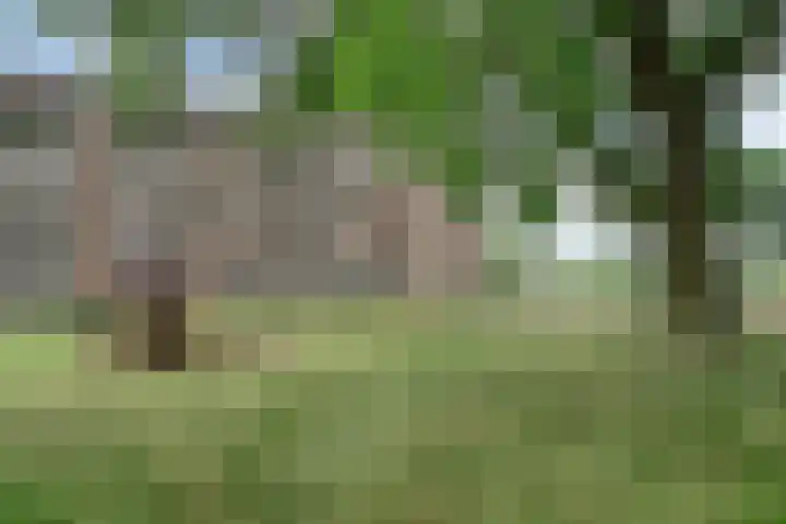 Hertog Hendriksingel 64 's-Hertogenbosch thumbnail 23