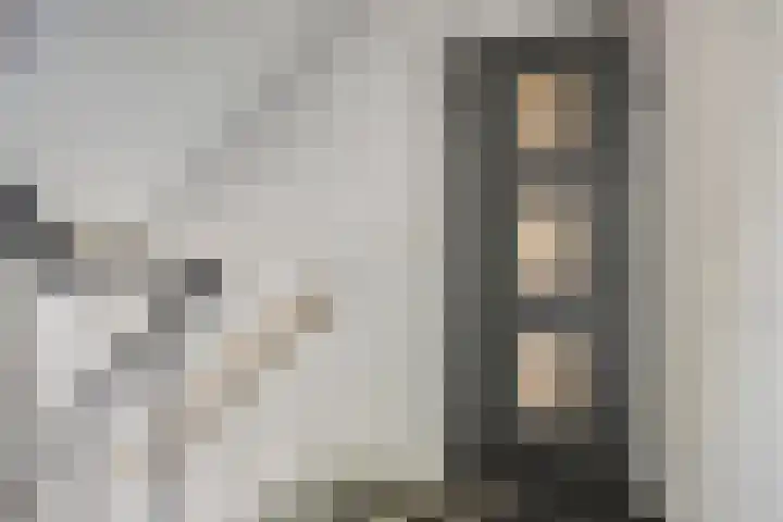 Hertog Hendriksingel 64 's-Hertogenbosch thumbnail 4