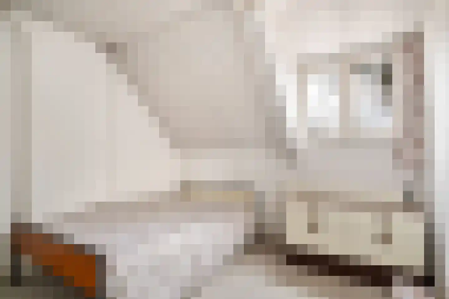 Hertog Hendrikstraat 13 Sint-Oedenrode thumbnail 19