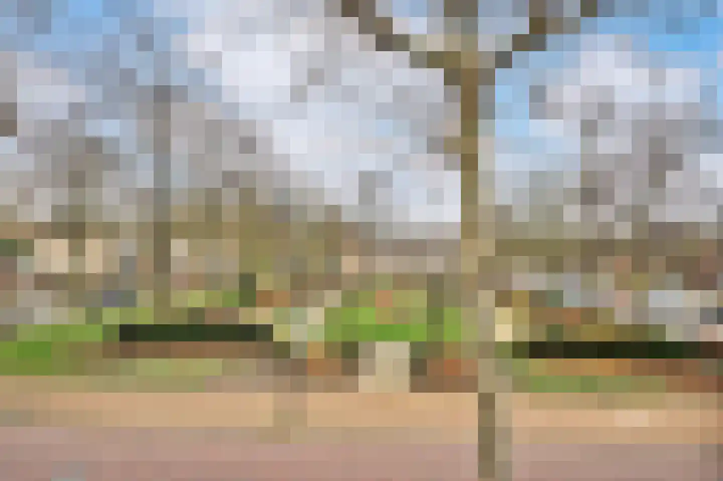 Hertog Hendrikstraat 13 Sint-Oedenrode thumbnail 20