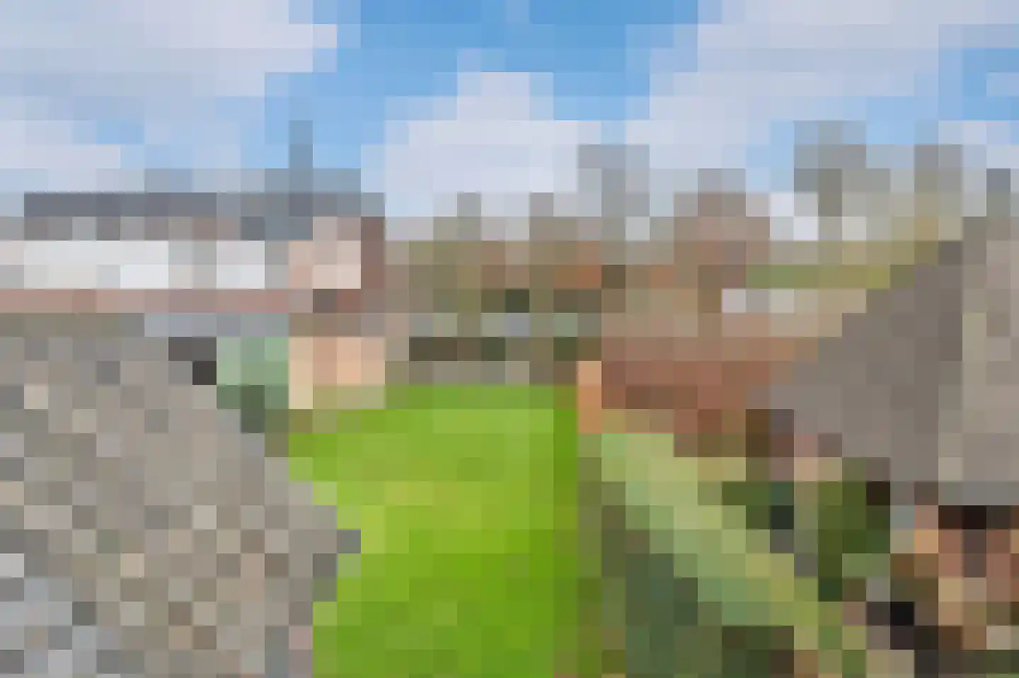 Hertog Hendrikstraat 13 Sint-Oedenrode thumbnail 4