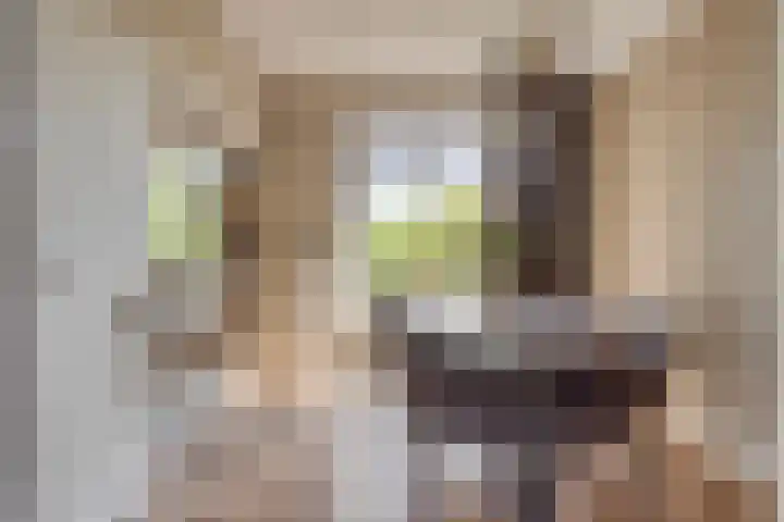 Hertog Jan I Laan 46 Eindhoven thumbnail 13