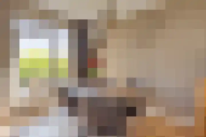 Hertog Jan I Laan 46 Eindhoven thumbnail 14