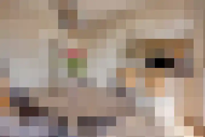Hertog Jan I Laan 46 Eindhoven thumbnail 15