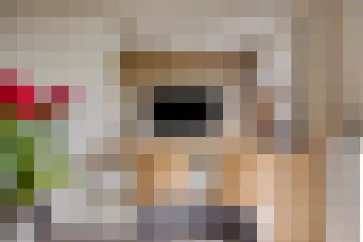 Hertog Jan I Laan 46 Eindhoven thumbnail 16
