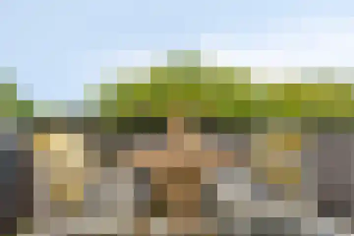 Hertog Jan I Laan 46 Eindhoven thumbnail 19