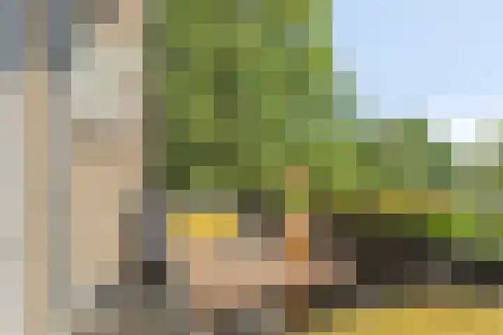 Hertog Jan I Laan 46 Eindhoven thumbnail 20