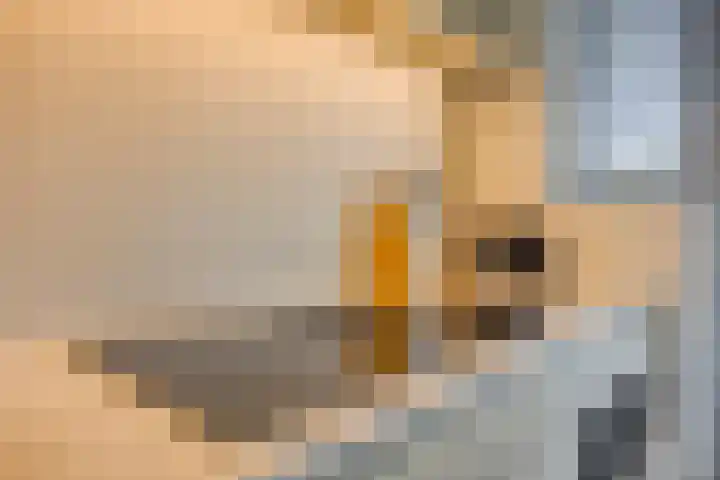 Hertog Jan I Laan 46 Eindhoven thumbnail 22