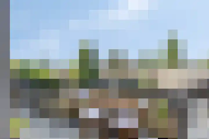 Hertog Jan I Laan 46 Eindhoven thumbnail 25