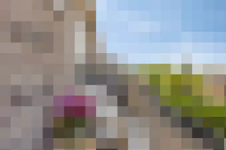 Hertog Jan I Laan 46 Eindhoven thumbnail 27