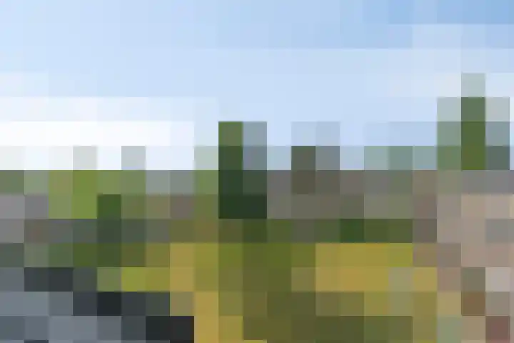 Hertog Jan I Laan 46 Eindhoven thumbnail 30
