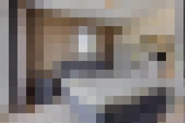 Hertog Jan I Laan 46 Eindhoven thumbnail 33