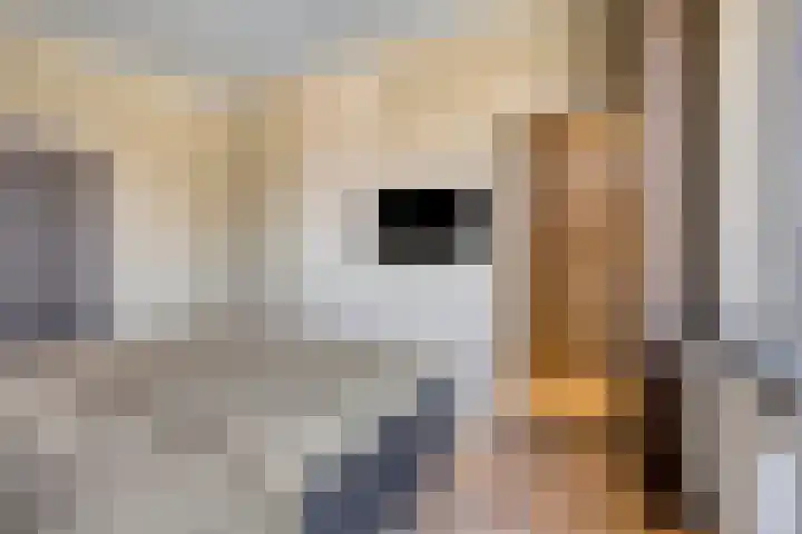 Hertog Jan I Laan 46 Eindhoven thumbnail 34