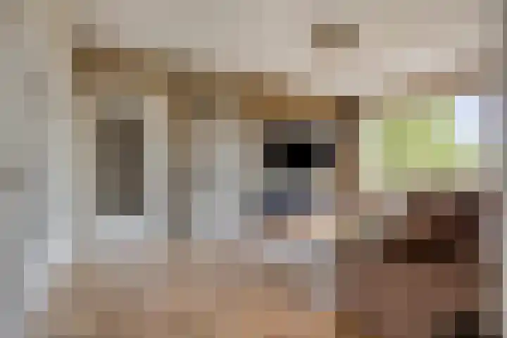 Hertog Jan I Laan 46 Eindhoven thumbnail 6