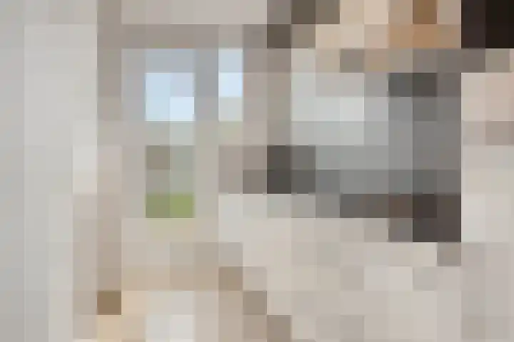 Hertog Jan I Laan 48 Eindhoven thumbnail 11