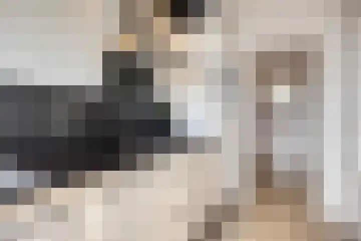 Hertog Jan I Laan 48 Eindhoven thumbnail 12