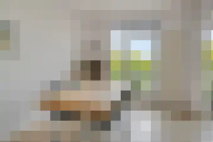 Hertog Jan I Laan 48 Eindhoven thumbnail 14