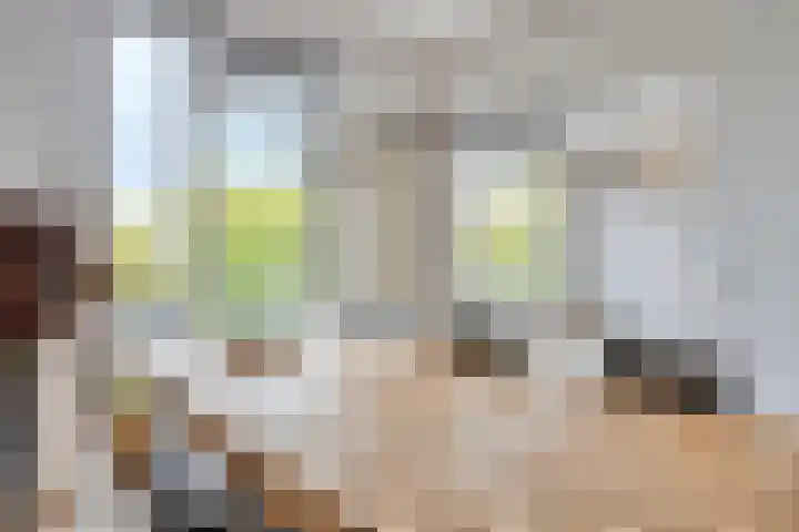 Hertog Jan I Laan 48 Eindhoven thumbnail 15