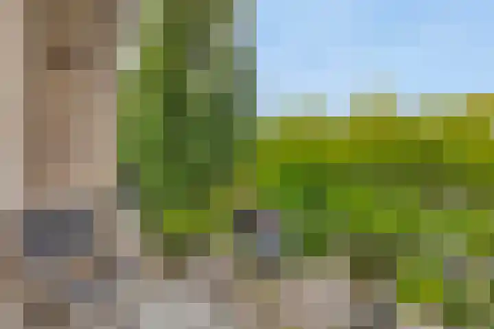Hertog Jan I Laan 48 Eindhoven thumbnail 16