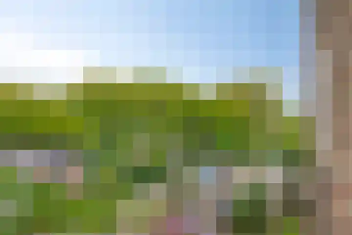 Hertog Jan I Laan 48 Eindhoven thumbnail 18