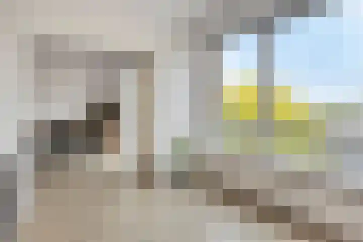 Hertog Jan I Laan 48 Eindhoven thumbnail 20