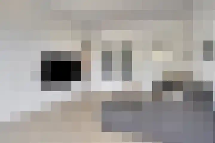 Hertog Jan I Laan 48 Eindhoven thumbnail 21